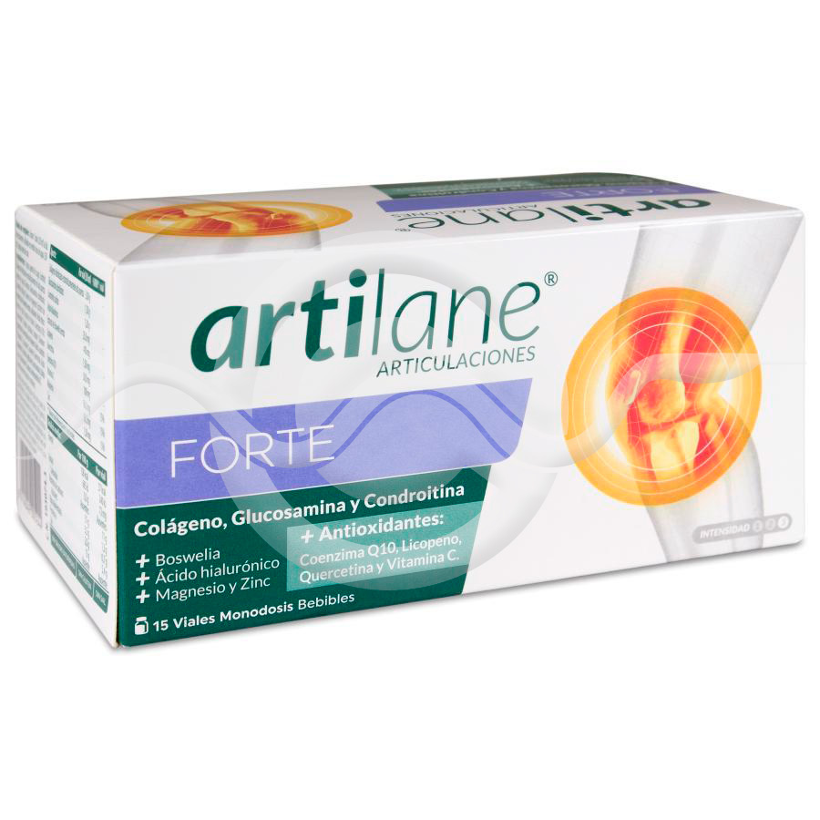 ARTILANE FORTE 30 ML 15 VIALES