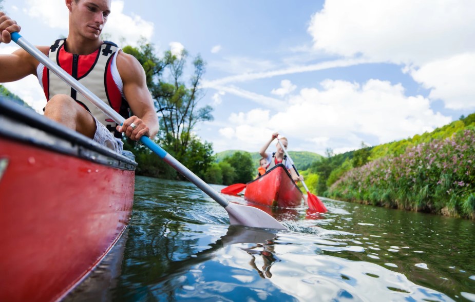 Repelentes de insectos