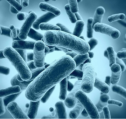 Fortalecer nuestro organismo